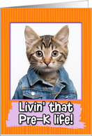 First Day in Pre-K Tabby Kitten card