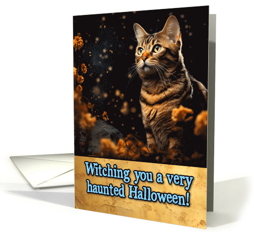 Tortoiseshell Cat Halloween card (1787608)