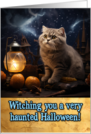 Scottish Fold Cat Halloween card