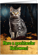 Tabby Cat Halloween card