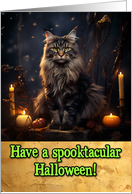 Maine Coon Cat Halloween card