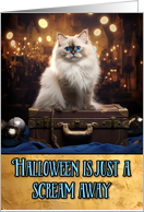 Ragdoll Cat Halloween card
