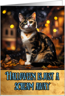 Calico Cat Halloween card