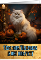Persian Cat Halloween card