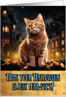 Ginger Cat Halloween card