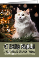 Turkish Van Cat O Holy Night Christmas card