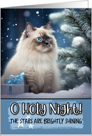 Ragdoll Cat O Holy Night Christmas card