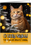 Ginger Cat O Holy Night Christmas card