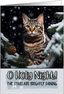 European Shorthair Cat O Holy Night Christmas card