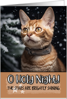 Devon Rex Cat O Holy Night Christmas card