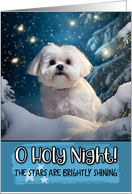 Maltese O Holy Night Christmas card