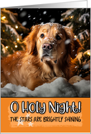 Golden Retriever O Holy Night Christmas card