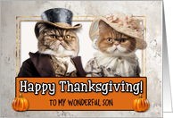 Son Thanksgiving Pilgrim Exotic Shorthair Cat couple card