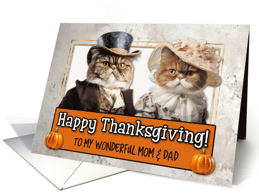 Mom and Dad Thanksgiving Pilgrim Exotic Shorthair Cat couple card