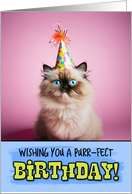 Happy Birthday Himalayan Cat card