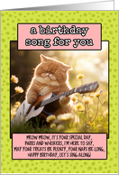 Happy Birthday Exotic Shorthair Cat with Guitar card