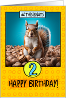 2 Years Old Happy Birthday Squirrel and Nuts card