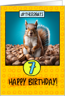 7 Years Old Happy Birthday Squirrel and Nuts card