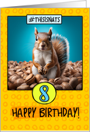 8 Years Old Happy Birthday Squirrel and Nuts card