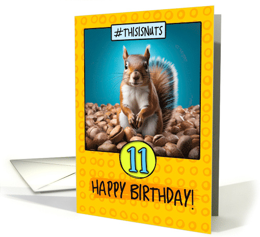 11 Years Old Happy Birthday Squirrel and Nuts card (1789498)