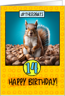 14 Years Old Happy Birthday Squirrel and Nuts card