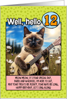 12 Years Old Happy Birthday Siamese Cat Playing Guitar card