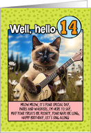 14 Years Old Happy Birthday Siamese Cat Playing Guitar card
