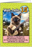 15 Years Old Happy Birthday Siamese Cat Playing Guitar card