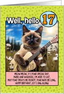 17 Years Old Happy Birthday Siamese Cat Playing Guitar card