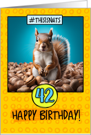 42 Years Old Happy Birthday Squirrel and Nuts card
