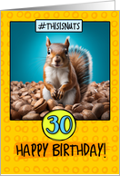 30 Years Old Happy Birthday Squirrel and Nuts card