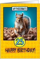 25 Years Old Happy Birthday Squirrel and Nuts card