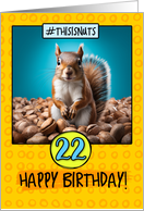 22 Years Old Happy Birthday Squirrel and Nuts card