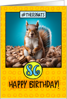 86 Years Old Happy Birthday Squirrel and Nuts card