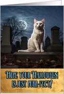 Halloween white Cat Cemetery card
