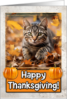 Tabby Cat Happy Thanksgiving card
