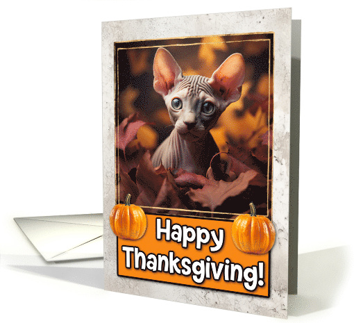 Sphynx Kitten Happy Thanksgiving card (1794296)