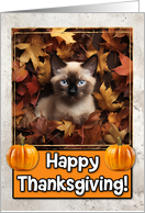 Siamese Kitten Happy Thanksgiving card