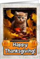Scottish Fold Kitten Happy Thanksgiving card