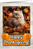 Persian Kitten Happy Thanksgiving card
