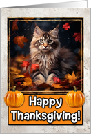 Maine Coon Kitten Happy Thanksgiving card