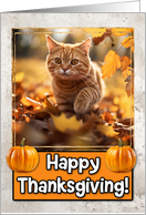 Ginger Cat Happy Thanksgiving card