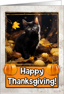 Black Kitten Happy Thanksgiving card
