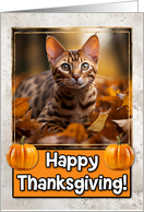 Bengal Cat Happy Thanksgiving card