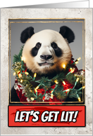Panda Bear Let’s get Lit Christmas card