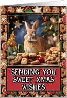 Rabbit Sweet Christmas Wishes card