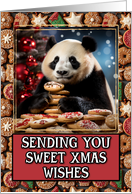 Panda Bear Sweet Christmas Wishes card