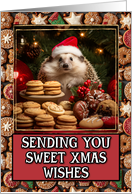 Hedgehog Sweet Christmas Wishes card