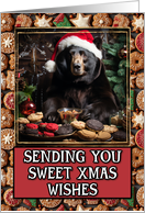 Black Bear Sweet Christmas Wishes card