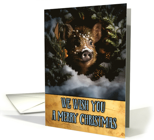 Wild Boar Merry Christmas card (1803548)